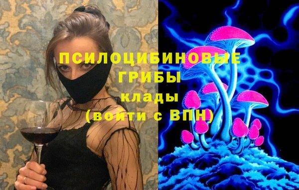 Альфа ПВП Кукмор